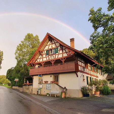 Studio Beim Rhein - Ziegelhuette Flaach Buitenkant foto