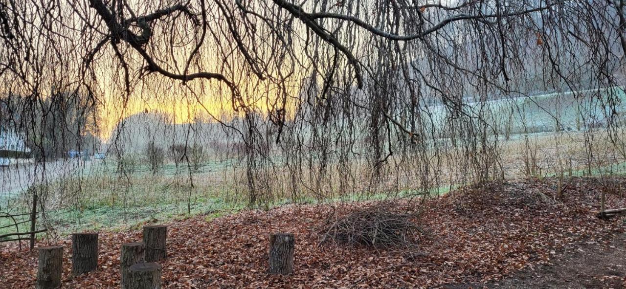 Studio Beim Rhein - Ziegelhuette Flaach Buitenkant foto