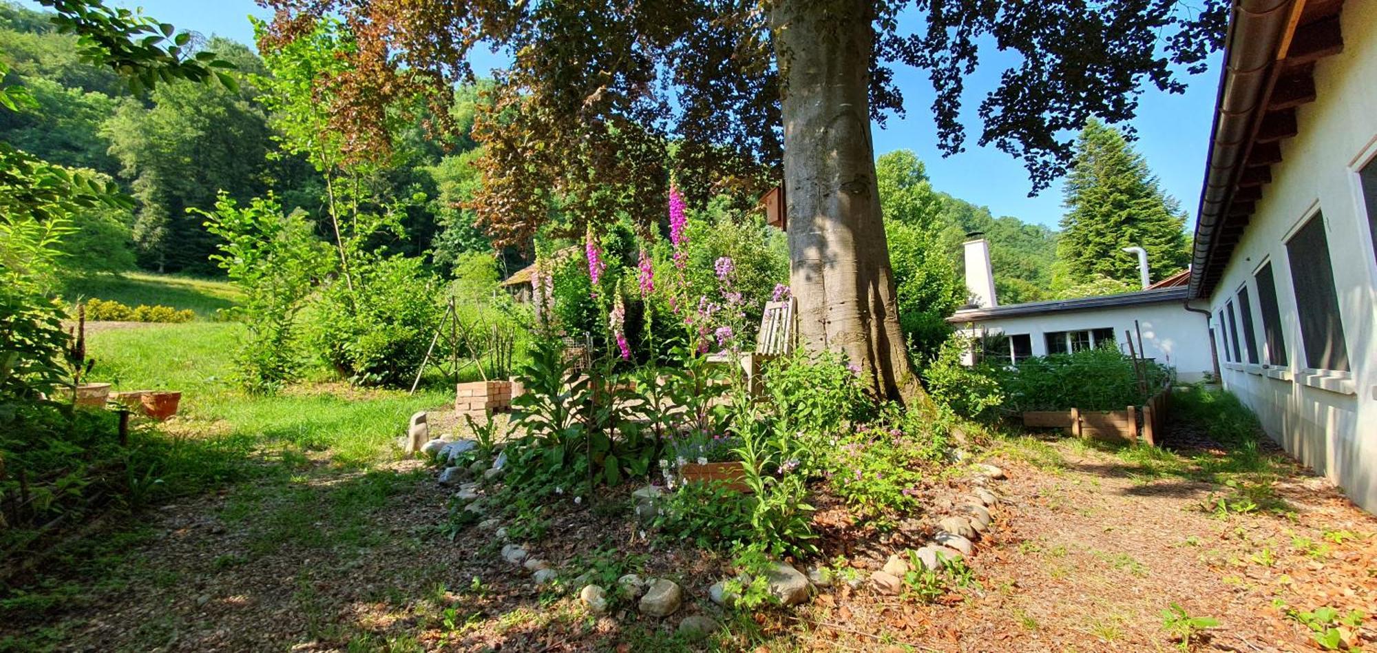 Studio Beim Rhein - Ziegelhuette Flaach Buitenkant foto