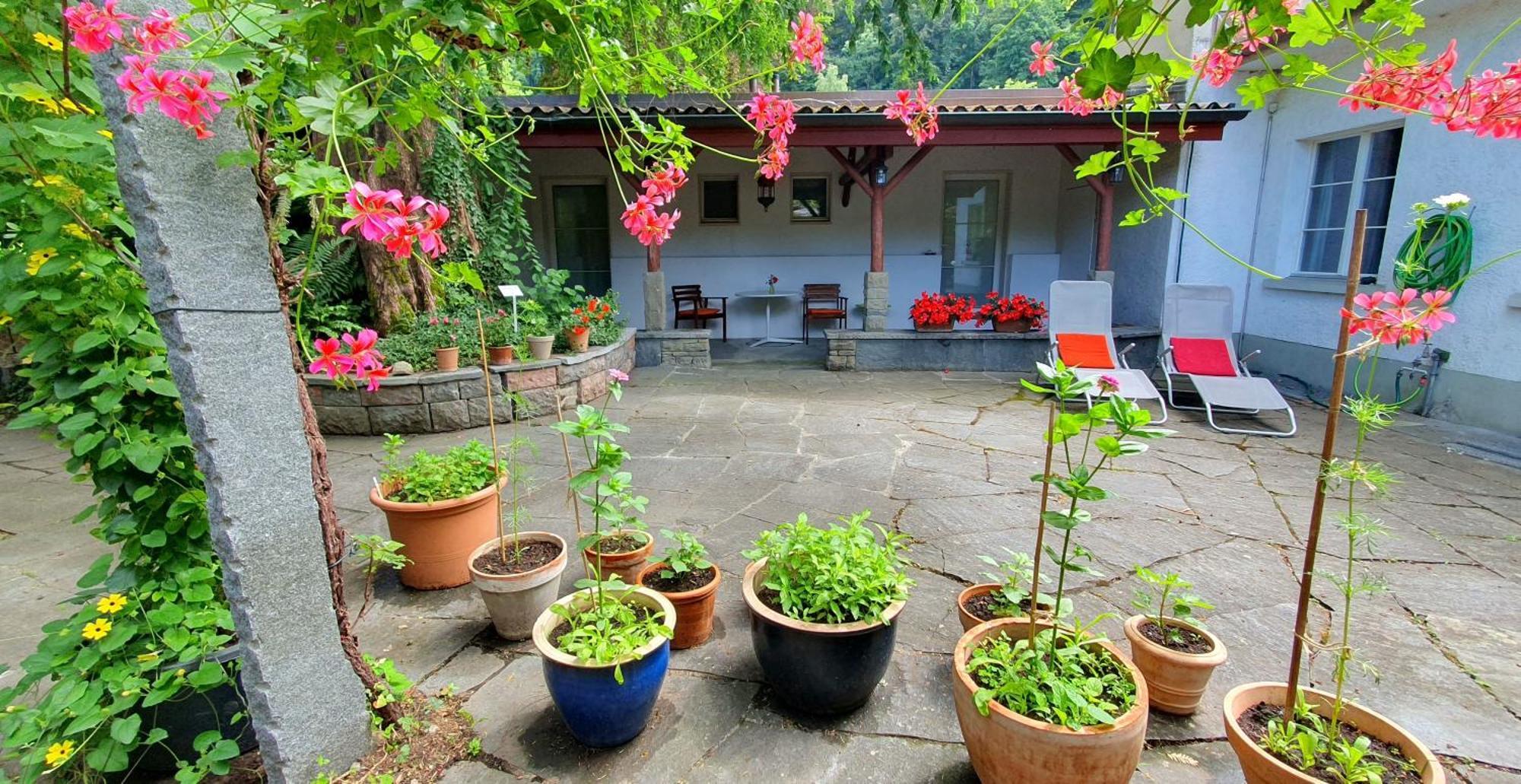 Studio Beim Rhein - Ziegelhuette Flaach Buitenkant foto